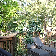 Picture 017